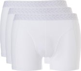 Ten Cate Short 3Pack Basic Wit - Maat S
