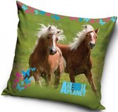 Paarden Sierkussenhoes - Animal Planet -  40 x 40 cm