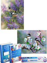 Crafterman™ Diamond Painting Volwassenen VOORDEEL SET VAN 2 STUKS - Vogeltjes op een tak & vogels op bloemen 30x40cm - volledige bedekking - vierkante steentjes - hobby pakket - Met 2 E-books