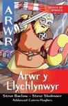 Cyfres Arwr - Dewis dy Dynged: Arwr 4. Arwr y Llychlynwyr