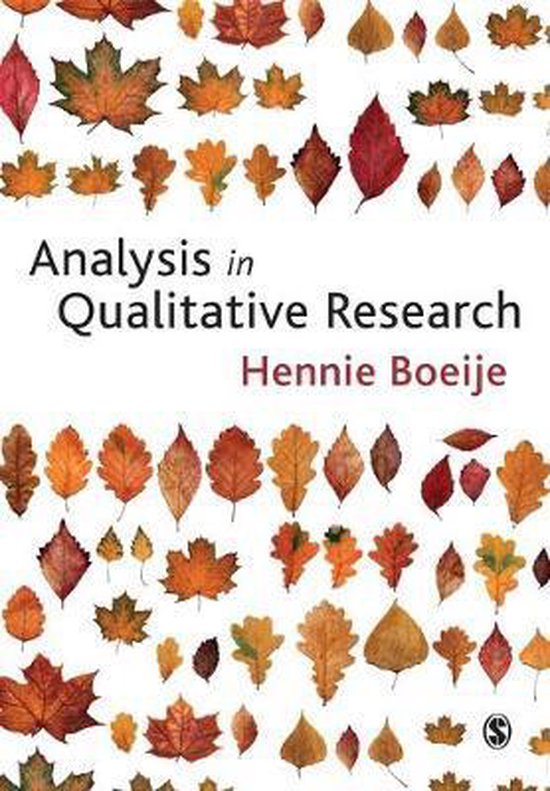 Boek cover Analysis in Qualitative Research van Hennie Boeije (Paperback)