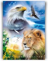 Poster 50x70 - Glorious Creator (engels)