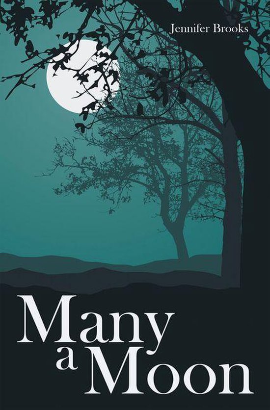 Many a Moon - cover