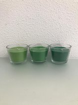 kaarsjes - 3 stuks - groen - van licht naar donker - 5 cm hoog