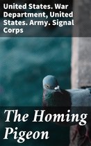 The Homing Pigeon