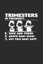 Trimesters of pregnancy
