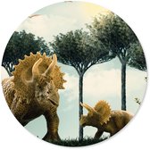 Dinosaurus grote Muursticker/Wandcirkel/Muurcirkel rond | dino triceratops | voor kinderkamer | wanddecoratie accessoires | jongens slaapkamer | cirkel afm. 80 x 80 cm