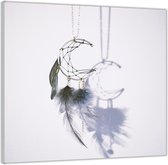 Acrylglas  –Maan Dromenvanger-100x100 (Met ophang)