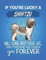 If You're Lucky A Shih Tzu Will Come Into Your Life, Steal Your Heart And Change You Forever