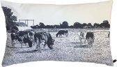 MA-FEELING Sierkussen Cows (Wit, 60x40 cm) - Uniek cadeau - Handgemaakt - Duurzaam