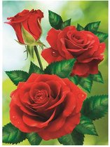 Diamond Painting rozen 20x30 cm