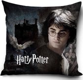 Harry Potter kussen sierkussen | gevuld 38x38cm