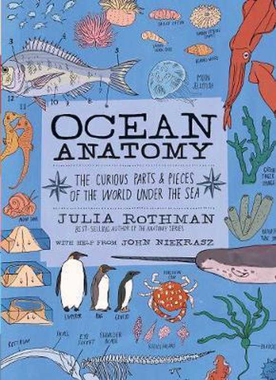 Ocean Anatomy - cover