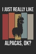 I Just Really Like Alpacas, OK?