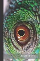 iguana eye: small lined Iguana Notebook / Travel Journal to write in (6'' x 9'') 120 pages