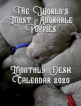 The World's Most Adorable Puppies: Monthly Desk Calendar 2020
