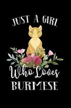Just a Girl Who Loves Burmese