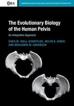 Evolutionary Biology of the Human Pe