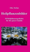 Heilpflanzenbilder