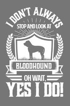 I Don't Always Stop and Look At Bloodhound OH Wait, Yes I Do!: Gifts for Dog Owners 100 page Daily 6 x 9 journal to jot down your ideas and notes