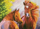 Diamond Painting Set Paarden 40x50