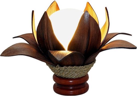 Lampe de table rurale en bois naturel 'feuilles de coco' avec source de  lumière... | bol.com