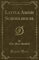 Little Amish Schoolhouse (Classic Reprint)