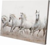 Witte paarden | 30  x 20 CM | Wanddecoratie | Dieren op canvas | Schilderij | Canvasdoek | Schilderij op canvas