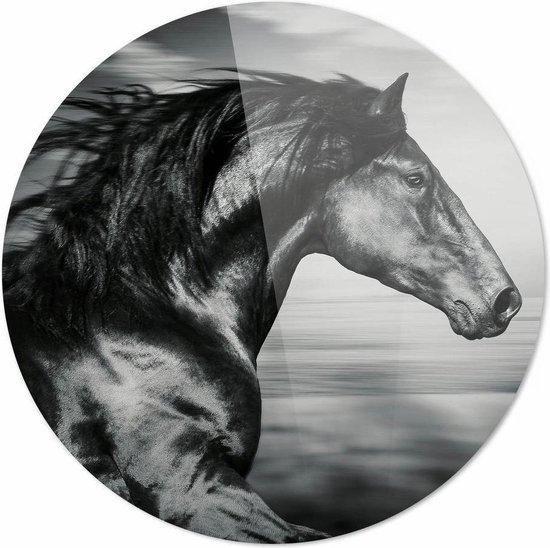 Cheval noir et blanc se bouchent| 60 x 60 cm | Animaux sur plexiglas | Décoration murale | Peinture Animaux | Cercle mural en plexiglas de 5 mm d'épaisseur