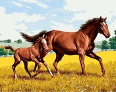 Schilderen op Nummer Paarden 40x50 Volwassenen & Kinderen - Kleuren op Nummer - Paint by Number - Hobbypainting.nl®