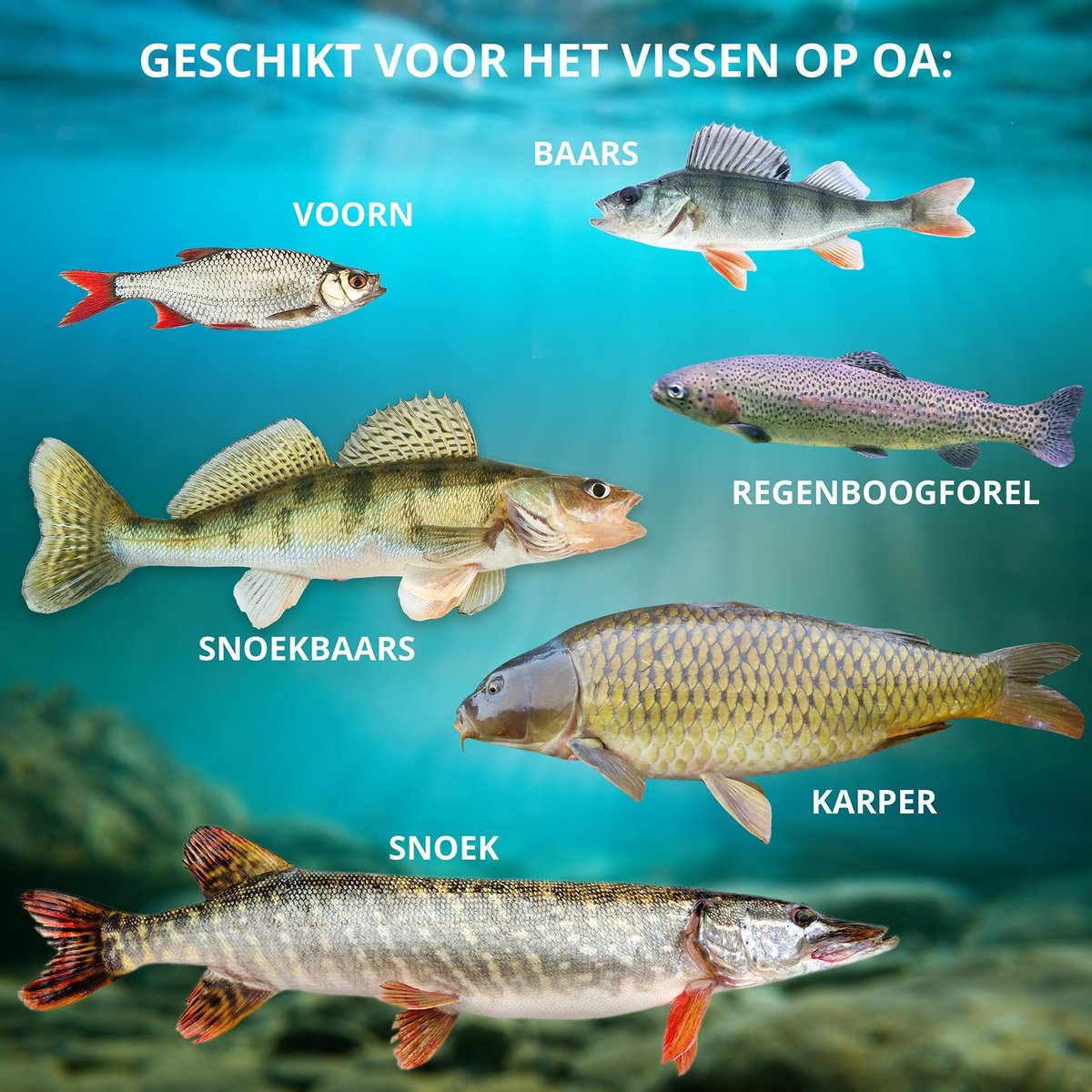 Voeding Trouw heel fijn MacGyver Vishengel Visset Big Fish | 41-delig | Telescopische Werphengel  met molen |... | bol.com