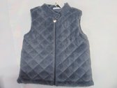 bodywarmer noukie's blauw in 104 - 4jaar