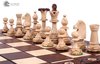 Afbeelding van het spelletje Consul Chess Luxe houten Schaakspel
