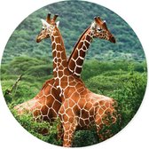 Grote ronde muursticker giraffen | safari wilde dieren | voor woonkamer en slaapkamer | wanddecoratie accessoires | cirkel afm. 80 x 80 cm