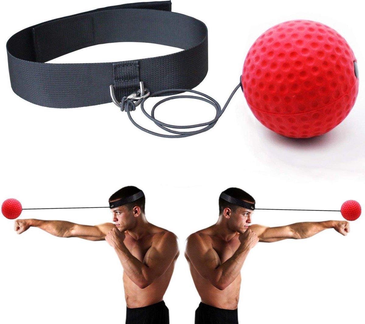 Headband / Box Reflex Ball / Head Reflex Ball / Workout / Mini Punch Home  Trainer Boxe