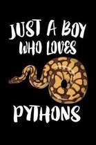 Just A Boy Who Loves Pythons