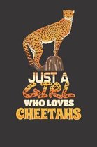 Just A Girl Who Loves Cheetahs Notebook: Cheetahs Africa Safari Zoo 6x9 Dot Grid Dotted 120 Pages for School College