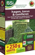 BSI Organische Meststof Hagen Taxus - Voor Volle Planten Met Een Mooie Kleur - 1.25Kg = Opp.12.5m²