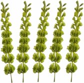 Set van 5x stuks kunstplanten Molucella takken 80 cm groen - kunstbloemen takken