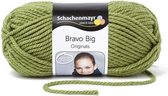 Schachenmayr Bravo Big 200 Gram - 175