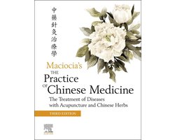 The Practice of Chinese Medicine
