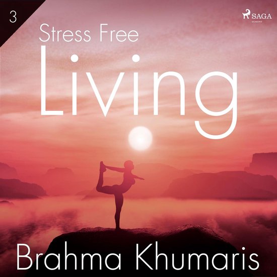 Stress Free Living 3 - cover