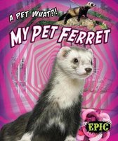 A Pet What- My Pet Ferret