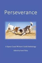 Perseverance