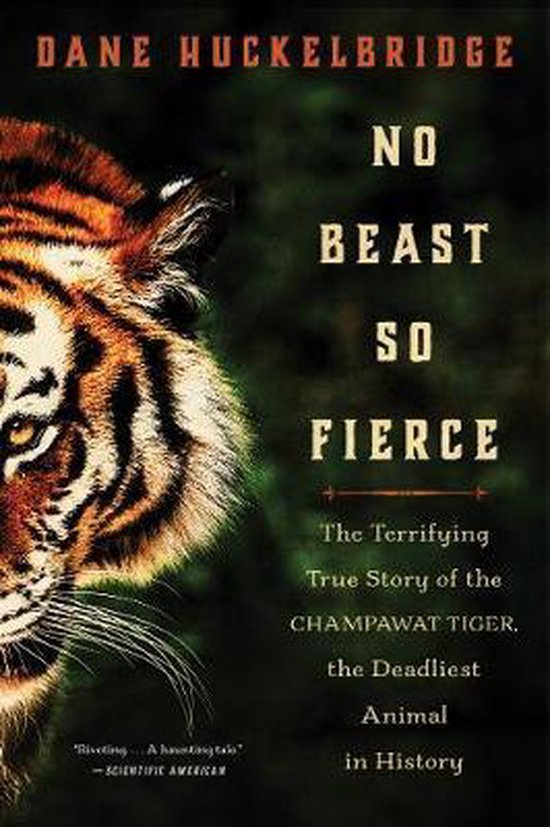 No Beast So Fierce - cover