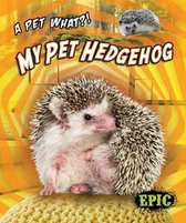 A Pet What- My Pet Hedgehog