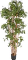 Bamboe kunst met 14 echte stammen, 3.360 bladeren, UV bestendig, 210cm
