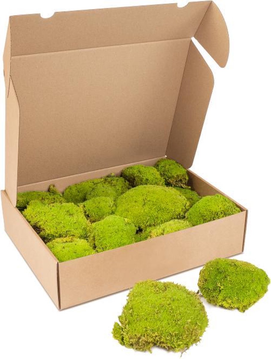 Kleine doos bolmos - kleur bolmos: Spring Green (voor o.a. decoratie, mosschilderij of moswand).