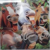 3D -wenskaart - lachende paarden - Trendzz 16 x16 cm