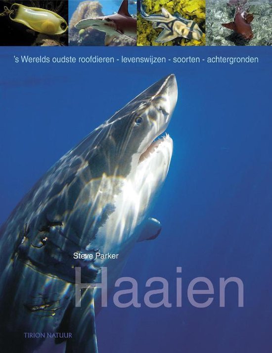 Boek cover Haaien van Steve Parker (Hardcover)